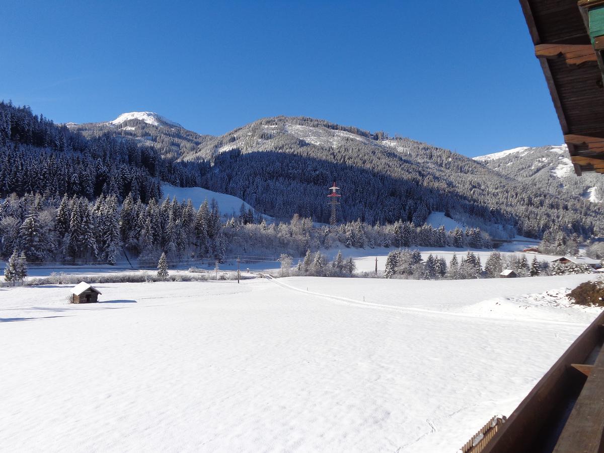 Haus Ottilie Daire Flachau Dış mekan fotoğraf